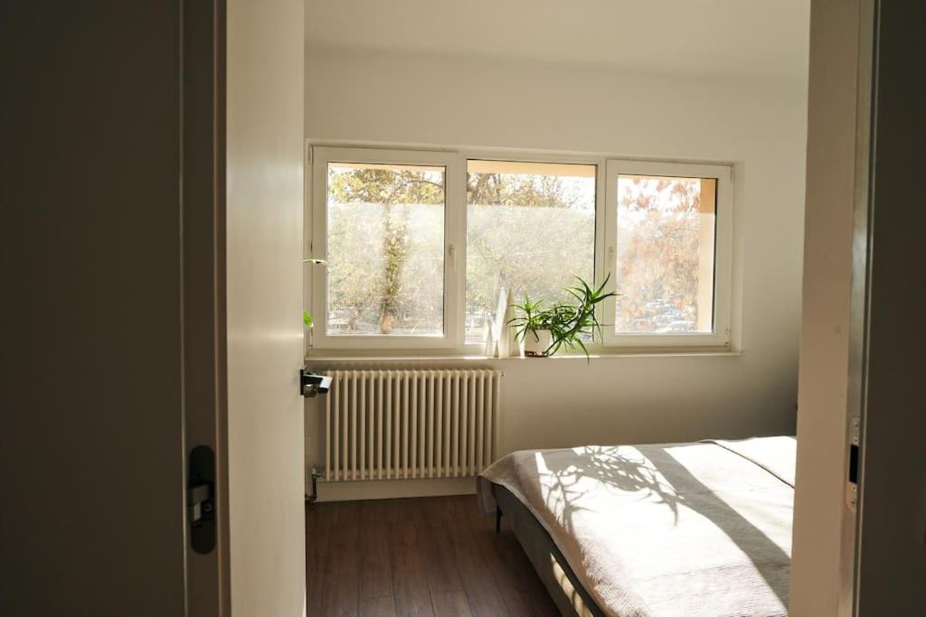 Ultracentral Two Rooms Apartment In 布加勒斯特 外观 照片